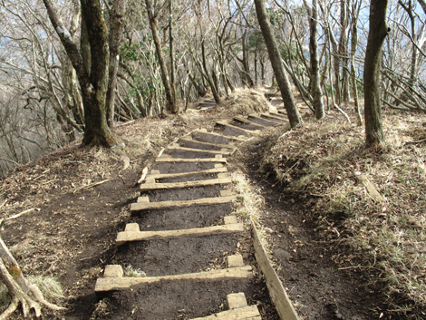 20151228hike (208)